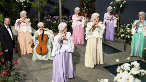 SF original Oktett2 1280x800